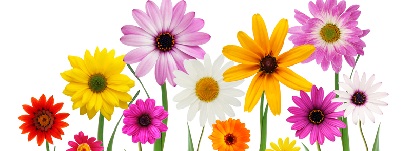 Colores que marcarán esta primavera verano