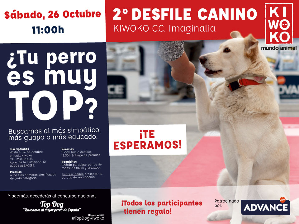 ii-desfile-canino-kiwoko